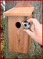 Cedar Birdhouse with HD Camera