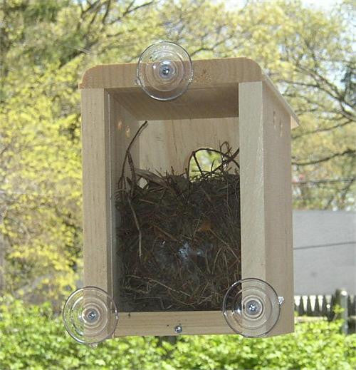 Coveside Window Nesting Box #10010 - wildbirdstoreonline.com