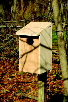 Heartwood Wood Duck Joy Box - www.wildbirdstoreonline.com