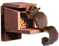 Woodlink Squirrel Munch Box