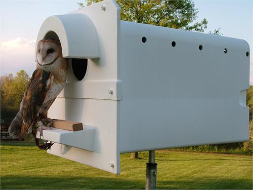 Barn Owl House - Pole Mounted