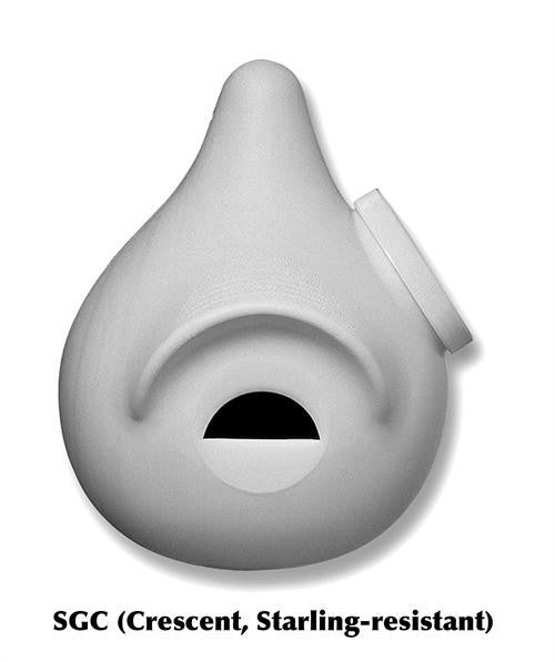 Purple Martin SuperGourd