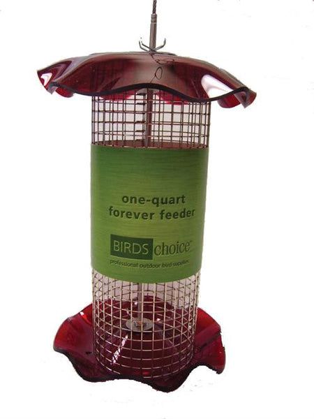1 Quart Sunflower Forever Feeder