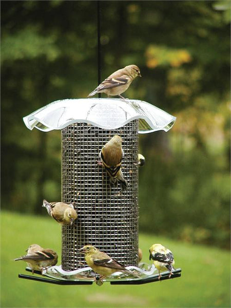 Birds Choice #FF202 3 Quart Forever Feeders