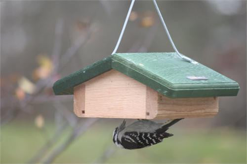 Birds Choice Upside Down Suet Feeder - Green Roof