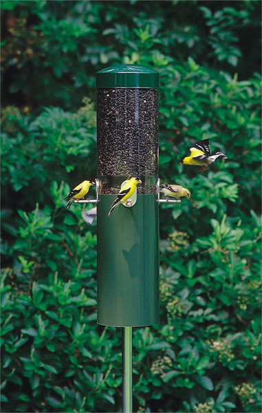 Birds Choice #NP431 Classic Feeder w/ Baffle and Pole