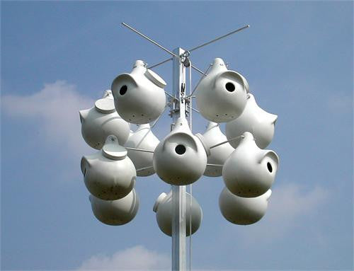 Purple Martin Deluxe Gourd Rack System with 12 SuperGourds
