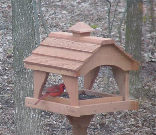 Looker Pavillion Bird Feeder at www.wildbirdstoreonline.com