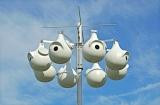 Purple Martin SuperGourd Rack Starter System without Gourds