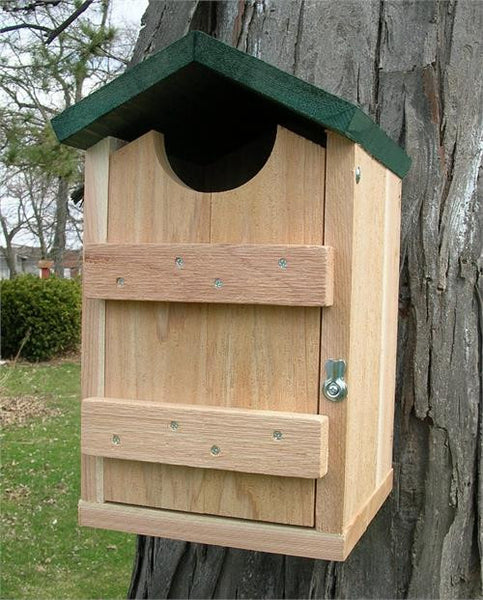 Looker Screech Owl House at www.wildbirdstoreonline.com