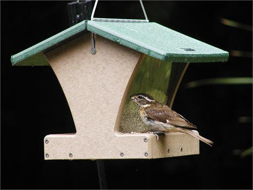 Birds Choice #SN200 Recycled 4 Quart 2-Sided Hopper Feeder