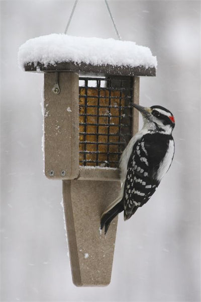 Birds Choice Recycled Double Cake Suet Feeder