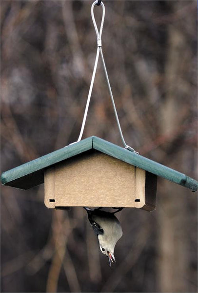 Birds Choice Recycled Single Cake Upside Down Suet Feeder