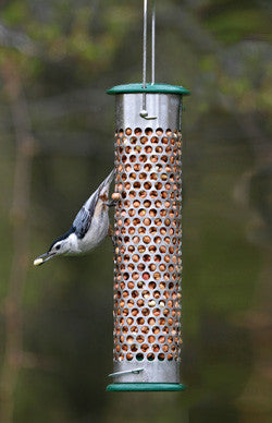 Birds Choice 1 Quart Stainless Steel Feeder