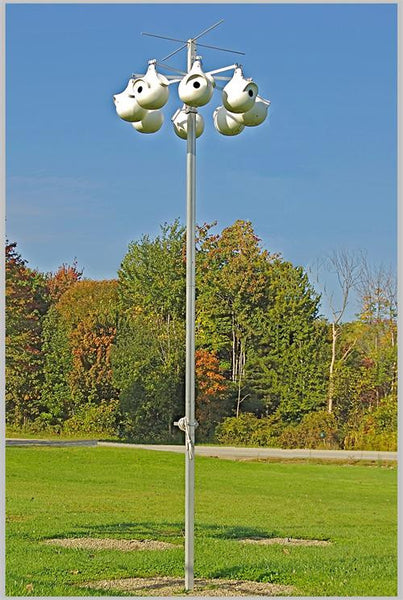 Purple Martin SuperGourd Starter System with 8 SuperGourds