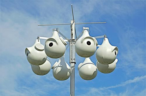 Purple Martin SuperGourd Starter System with 8 SuperGourds