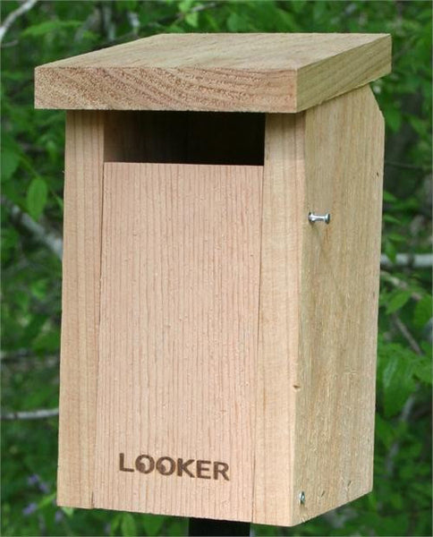 Looker Sparrow Resistant Blue Bird House