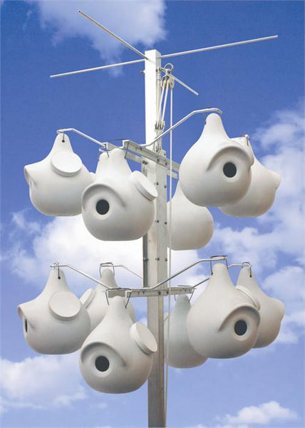 Sunset Gourd Rack 12
