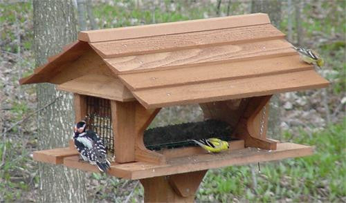 Looker Super Feeder at www.wildbirdstoreonline.com