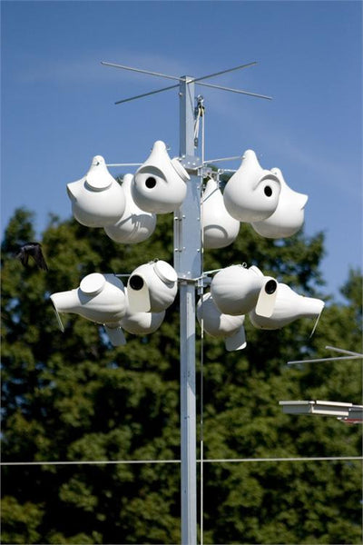 Trendsetter Gourd Rack 12