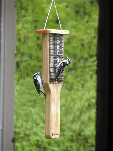 Birds Choice Tail Prop Suet Feeder