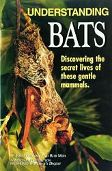 Understanding Bats