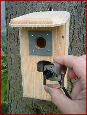 Birdhouse with HD Camera