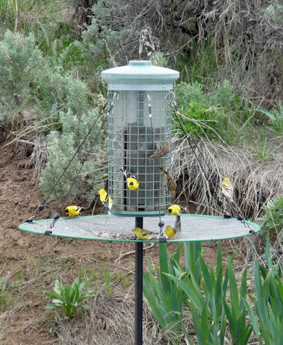 The Seed Hoop - Seed Catcher - Platform Bird Feeder
