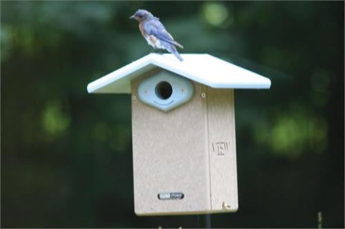 Recycled Ultimate Bluebird House w/Camera
