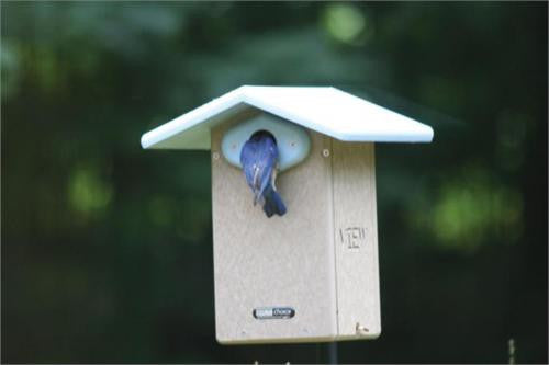 Birds Choice Recycled Ultimate Bluebird House