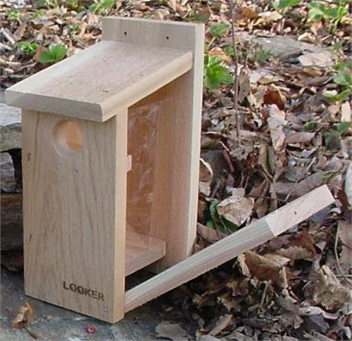 Looker View Thru Blue Bird House at www.wildbirdstoreonline.com